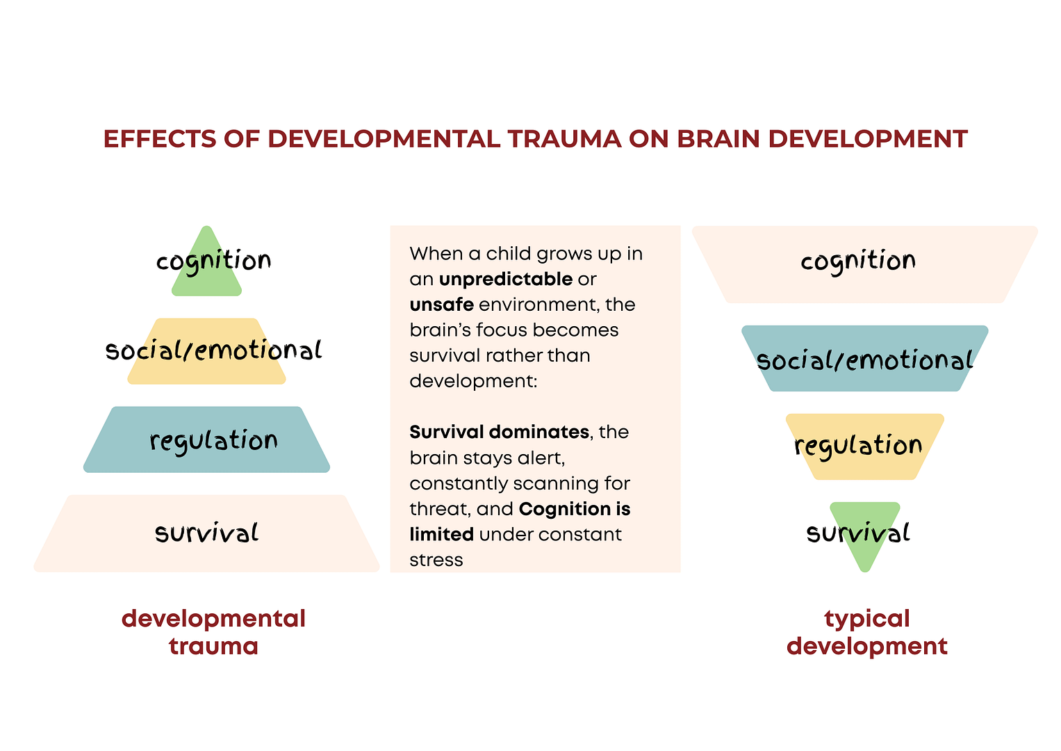info-graphic showing developmental trauma impact in brain development